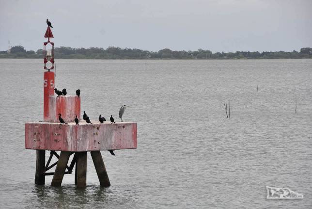 Saindo de Rio Grande de balsa, a caminho de São José do Norte, no sul do Rio Grande do Sul